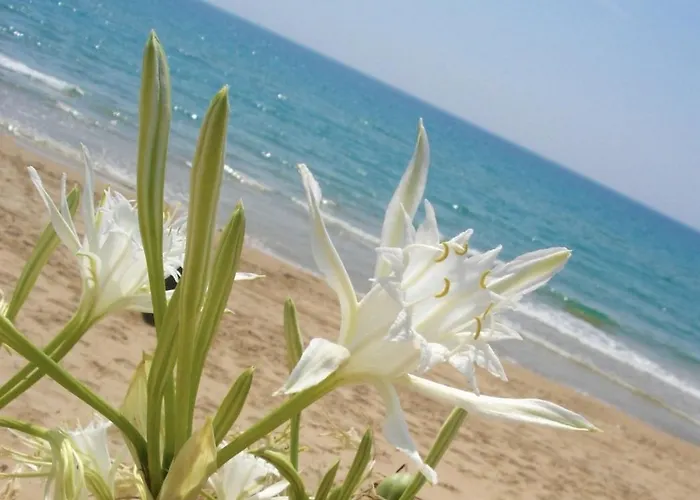 Giglio Bianco Casa Vacanze